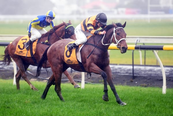 Local colours take out Interprovincial challenge