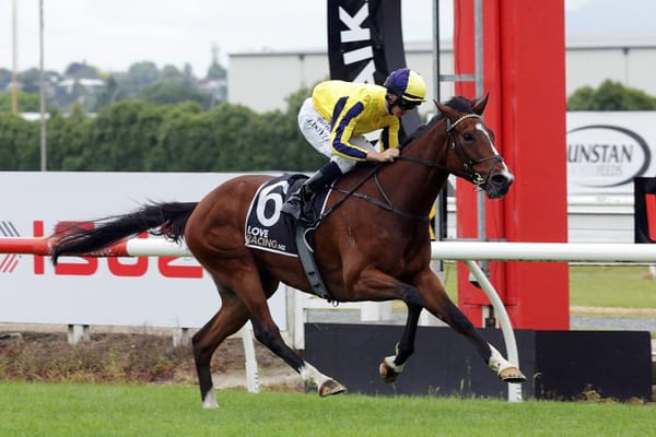 Waitak carries Wexford hopes in Foxbridge.