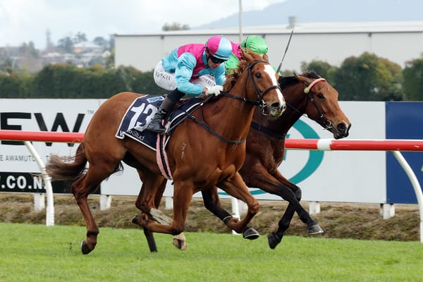 Whiskey ‘N Roses contender for higher honors after Te Rapa win