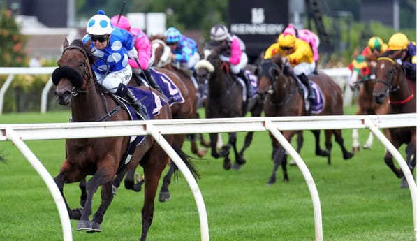 Wrote To Arataki is to return to Caulfield