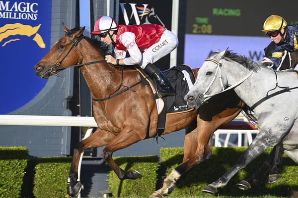 Lion’s Roar wins Wyong Cup