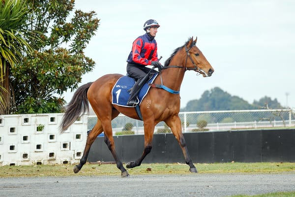 TAB Racing Club adding the experience of ownership