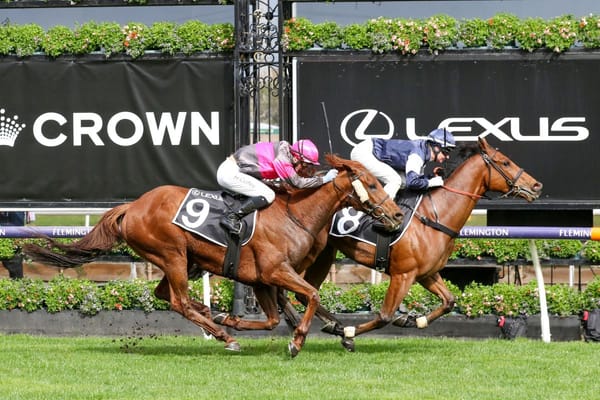 Jack to be aimed at new Cup