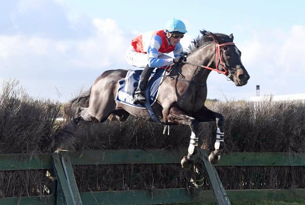 Great Northern duo to cap big week for Brosnan