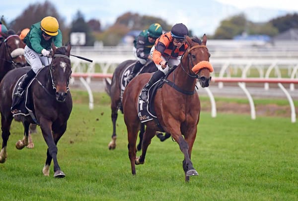 Bradman fresh for Metric Mile