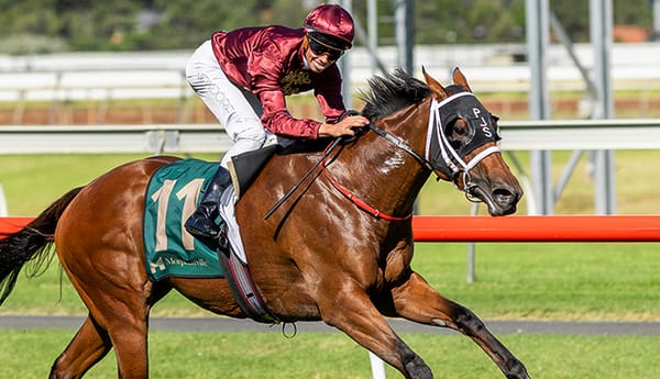 Stokes likes Climbing Star at odds in Manikato