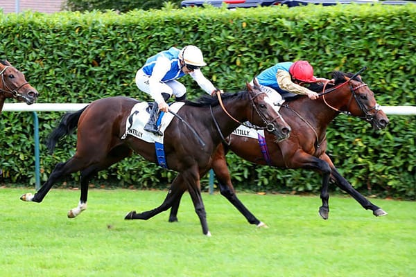 Hello Youmzain doubles European Group tally