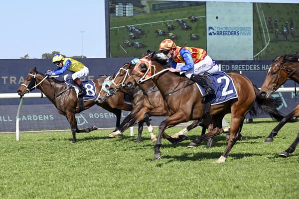 Firestorm shines on four-year-old debut