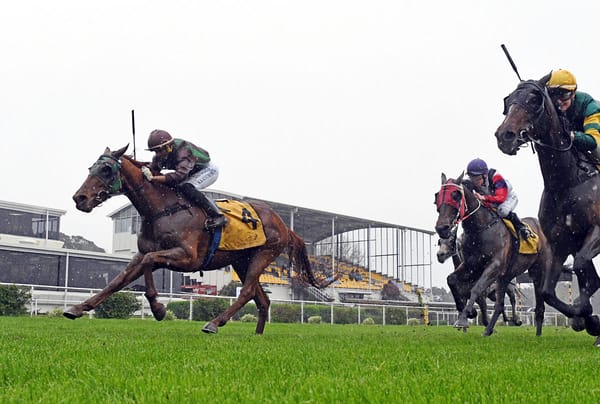 Flaneur provides Keegan with New Plymouth celebration