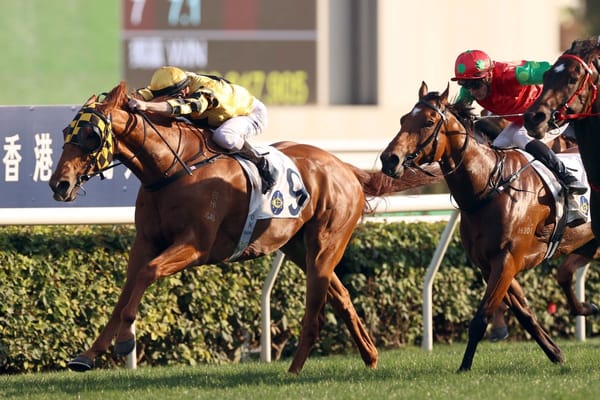 David Hall hopes Flying Ace can open Hong Kong season in style