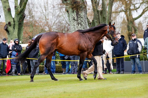 Group Three winner for Hello Youmzain