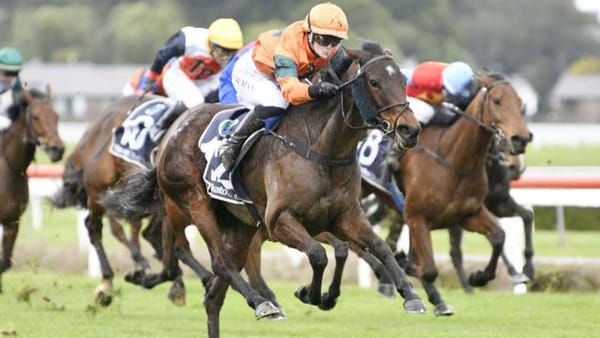 Little looking at Jericho opportunity with Irrigate