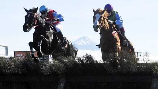 NZTR Outlines Next Steps in Future of NZ Jumps Review