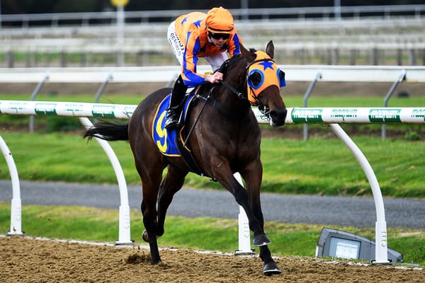Te Akau firing with a Cambridge quartet