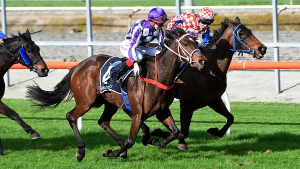 Cliff’s Princess is all heart at Matamata