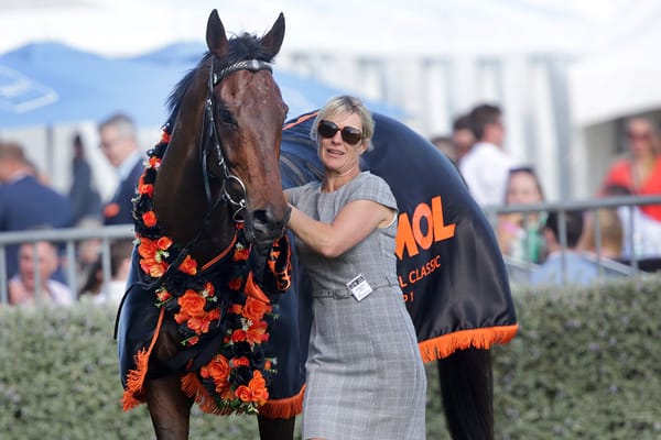 Livamol defence out for Ladies Man