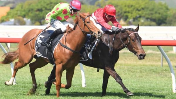 Landlock secures early juvenile success