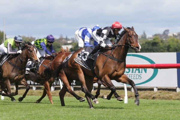 Sharrock sweeps open contests at Te Rapa