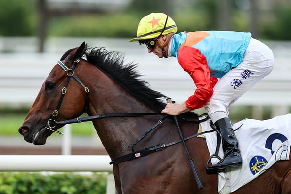David Hayes has Group 1 aspirations for Ka Ying Rising