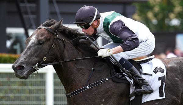 Blue Diamond winner is retired