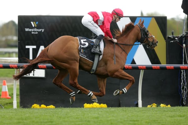 Navigator paving his way to Spring Sprint