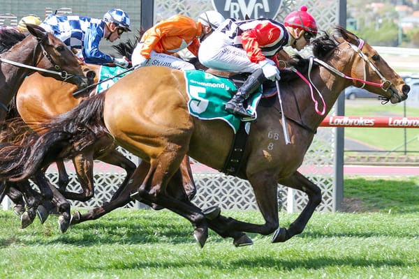 Former Kiwi strikes at Moonee Valley