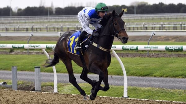 Ruakaka is to set Pearl on Group One path