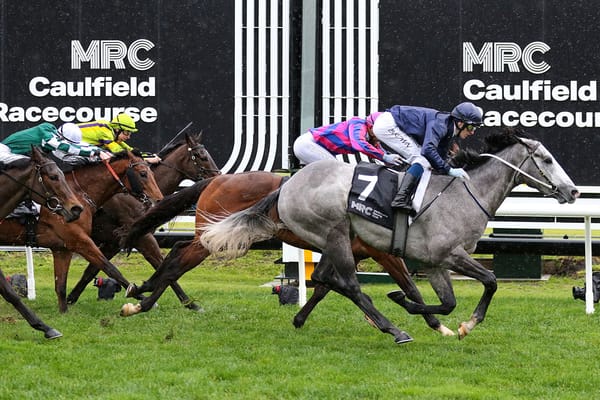 Guineas focus for Public Attention