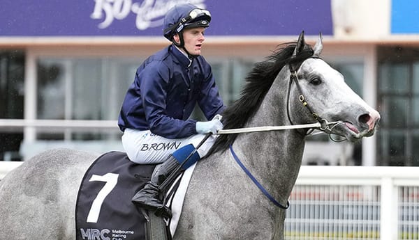 Guineas start on line for Public Attention