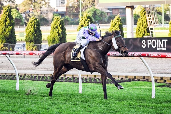 International raider rolling into Hawkes Bay carnival