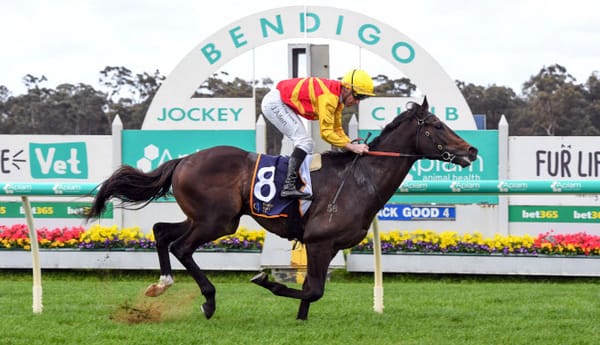 Rue De Royale is walking taller after win