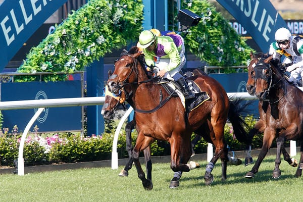 Shamus heading back to Ellerslie