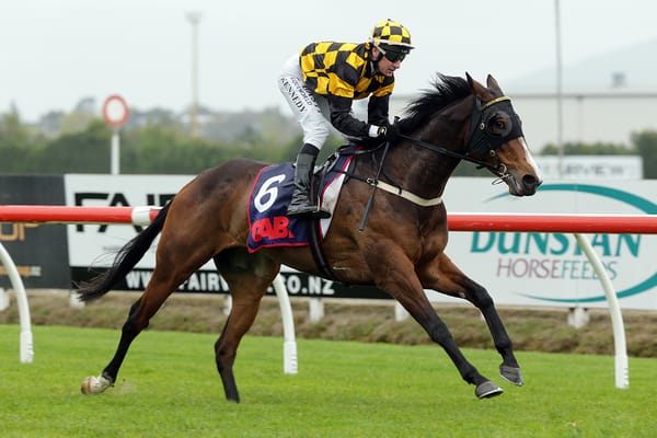 Livamol locked in for Snazzytavi