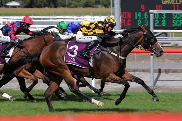 Gifted Snazzytavi out to boost a Livamol prospects