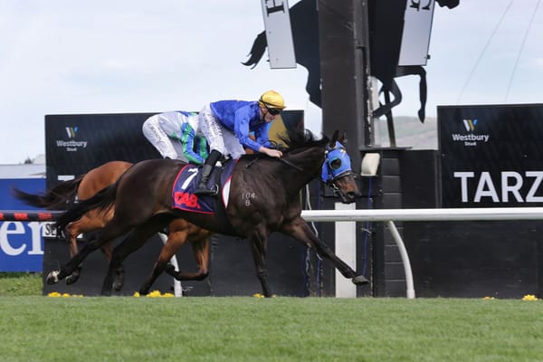 McKays land Hastings upset with fresh Wolfgang