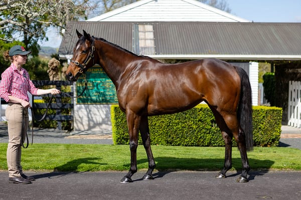 Casino Princess returns to gavelhouse.com 