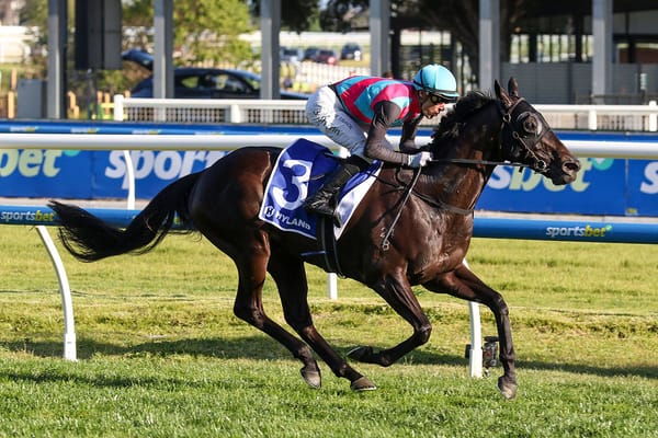 Antino stunning in Toorak