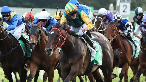 Cambridge Stud left with plenty to celebrate