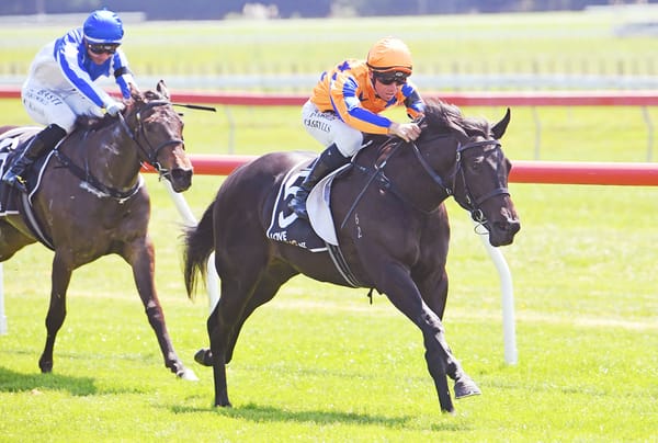 Te Akau's Talented Two-Year-Old Secures Memorable Victory
