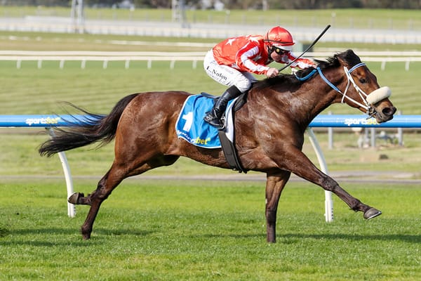 Barneswood Farm look forward to big weekend