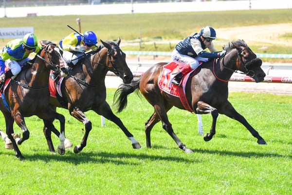 Proven partnership teams up again at Caulfield