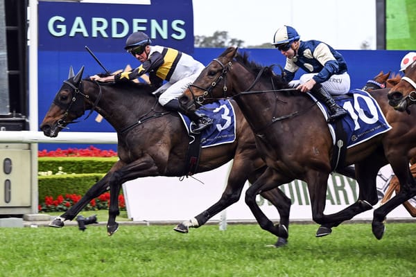 Bumper Payday for Here To Shock