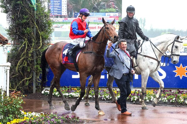 He's Lucid is a 2000 Guineas contender at Riccarton