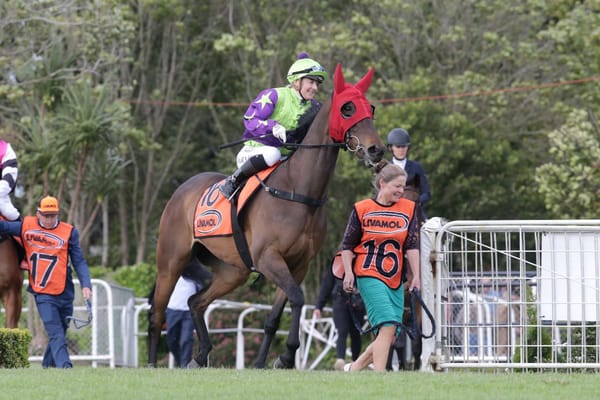 Group One performance ticked for Sass Bomb