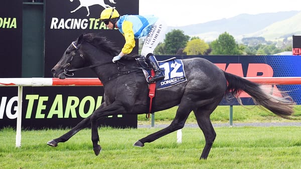 Wexford Stables Uncover Promising Filly