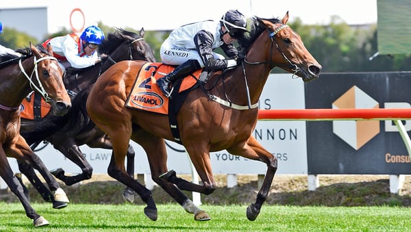 Lux Libertas Steps Up to Open Company Next