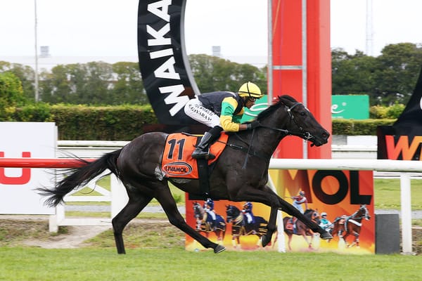 Kitty Flash too quick in Te Rapa opener