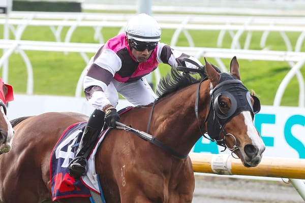 Trentham to Guide Stablemates Toward Cup Week