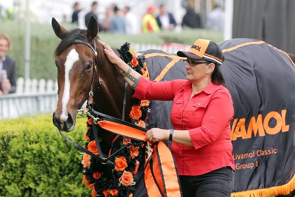 Mustang Valley retired