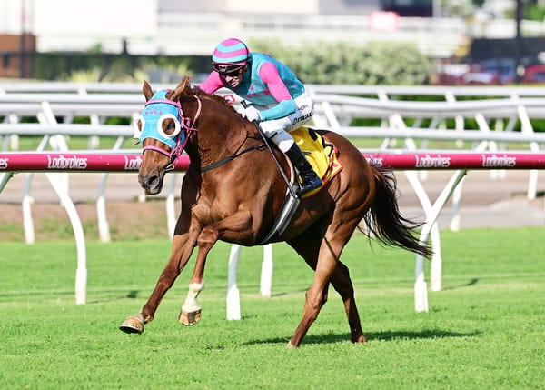 Nikau Spur dominant in Queensland Cup